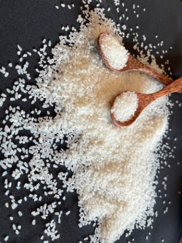 Rice