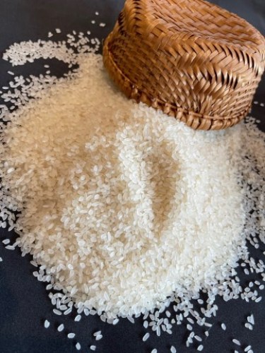 Rice