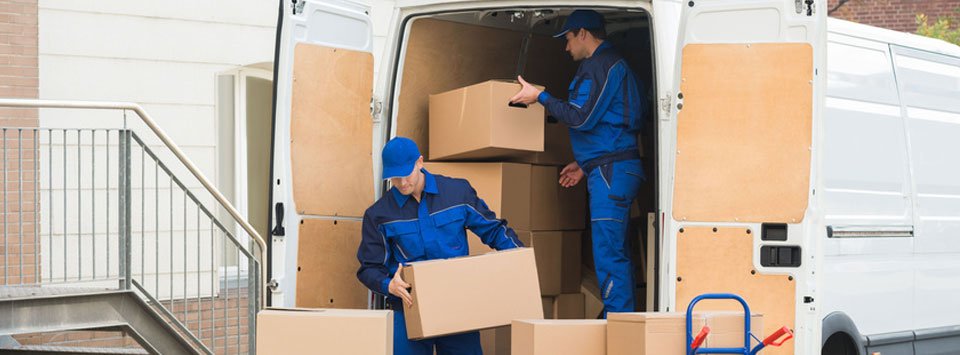 Removal services