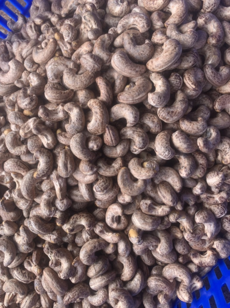 Cashew nuts