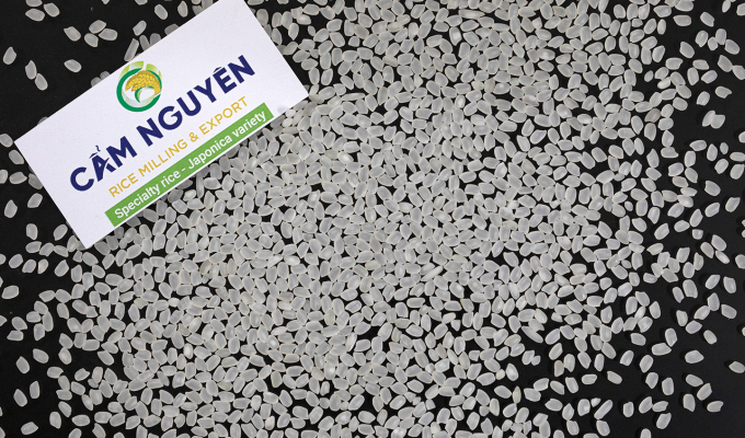 Japanese rice