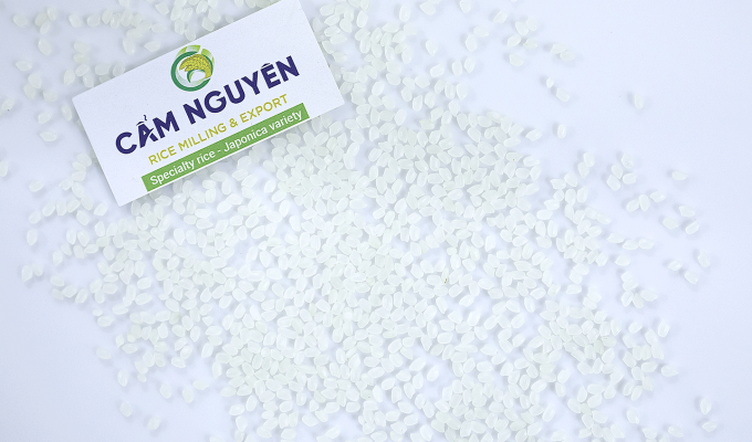 Japanese rice