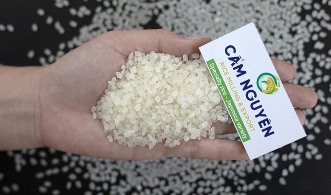Japanese rice