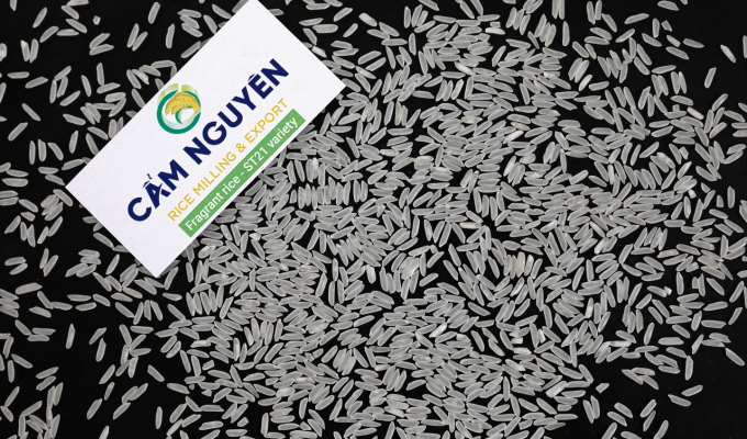 ST21 Fragrant rice