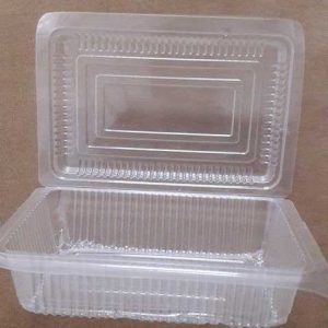 PS plastic tray