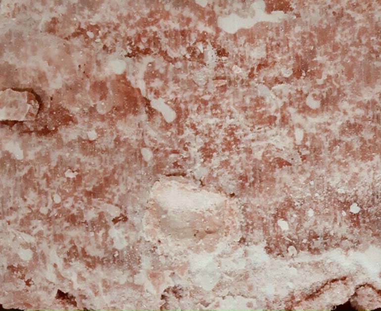 Brazilian Frozen Ground Chicken