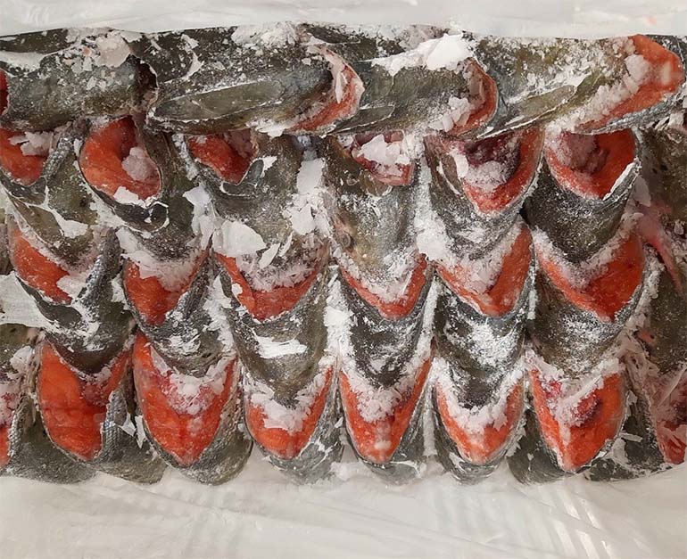 Frozen salmon head