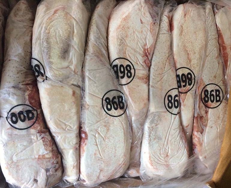 Imported frozen buffalo tongue