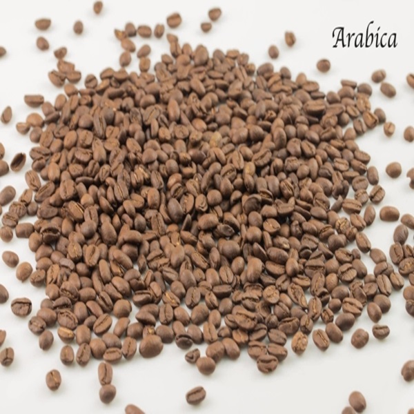 Robusta roasted coffee beans