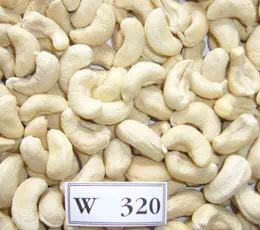 Fresh cashew kernels