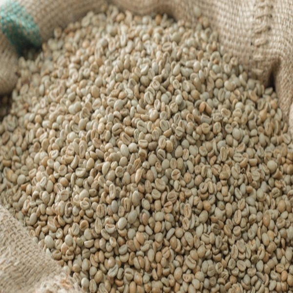 Arabica green coffee