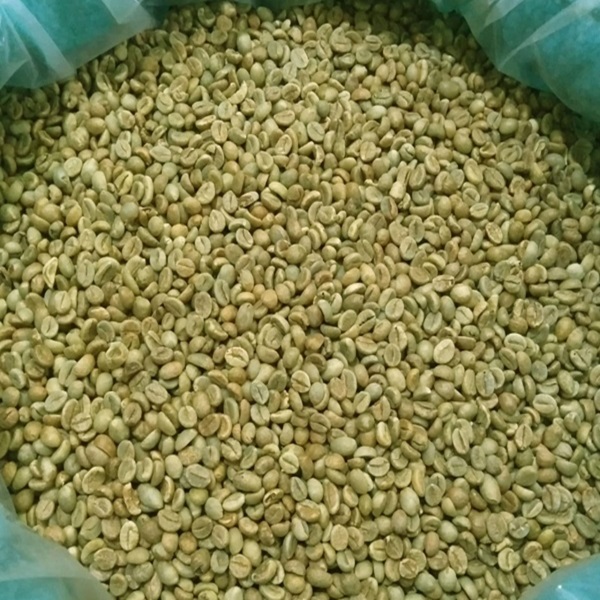 Arabica green coffee