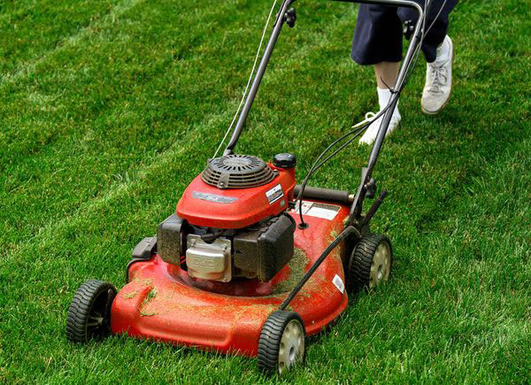 Garden cleaning service