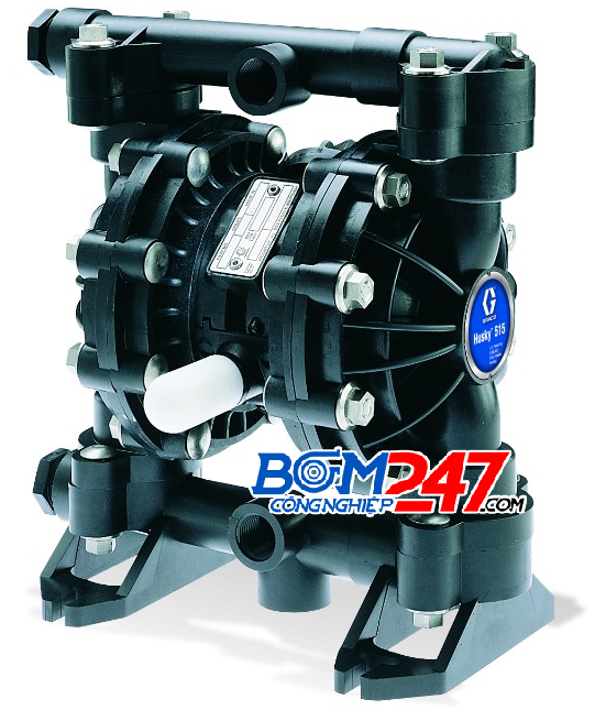 Husky diaphragm pump