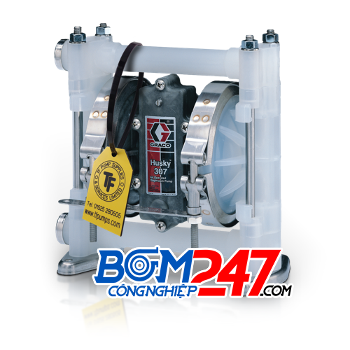 Husky diaphragm pump