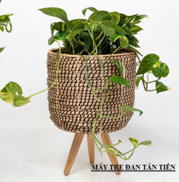 Bamboo and rattan plant pot