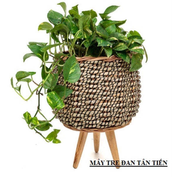 Bamboo and rattan plant pot