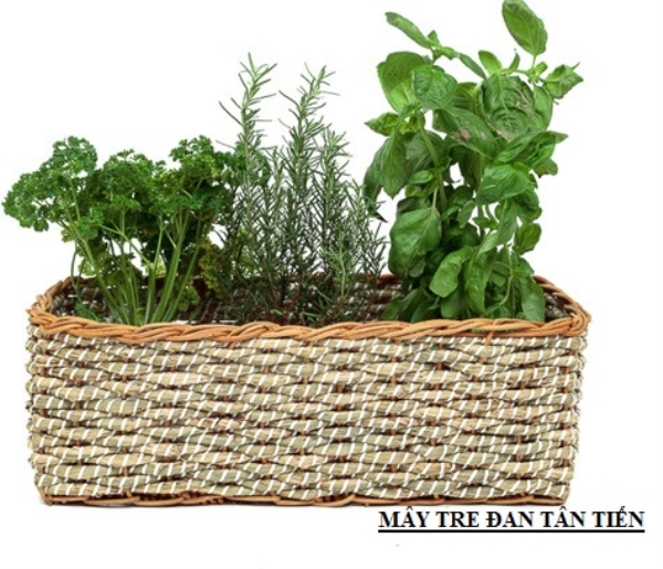 Bamboo and rattan plant pot