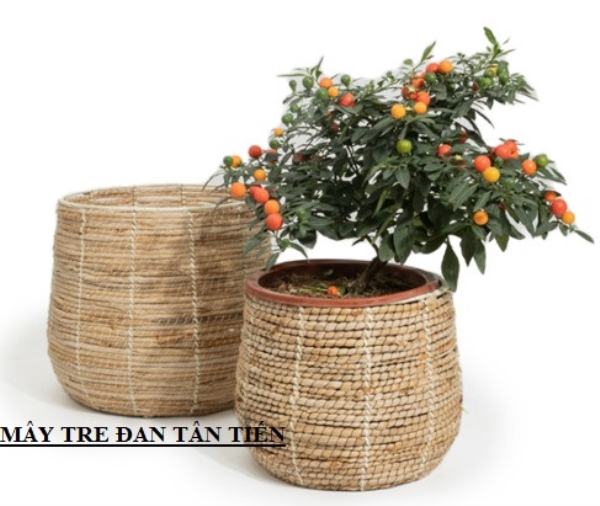 Bamboo and rattan plant pot
