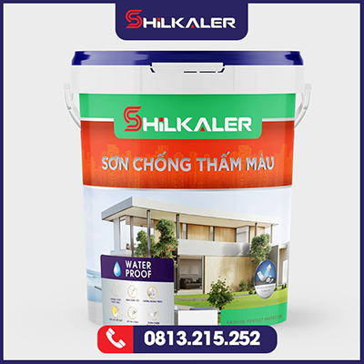 Sơn chống thấm màu