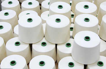Polyester Yarn