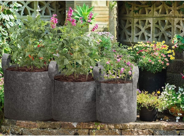 Felt Grow Bag