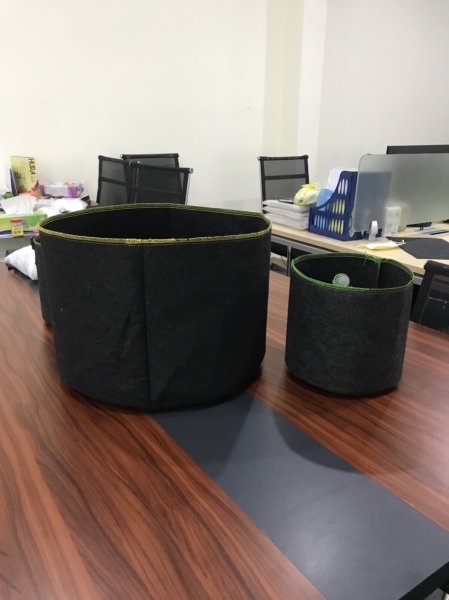 Felt Grow Bag