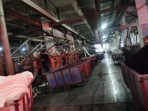 Fabric dyeing equipment