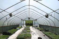 Agricultural film
