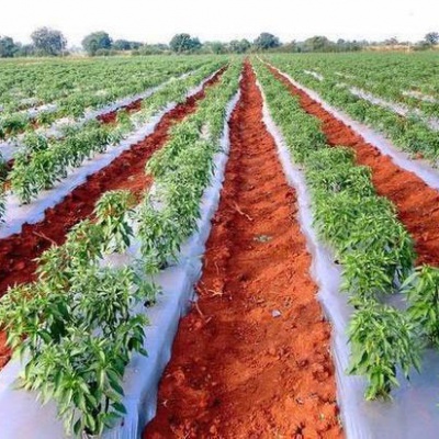 Agricultural film