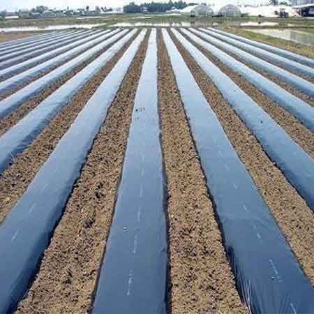 Agricultural film