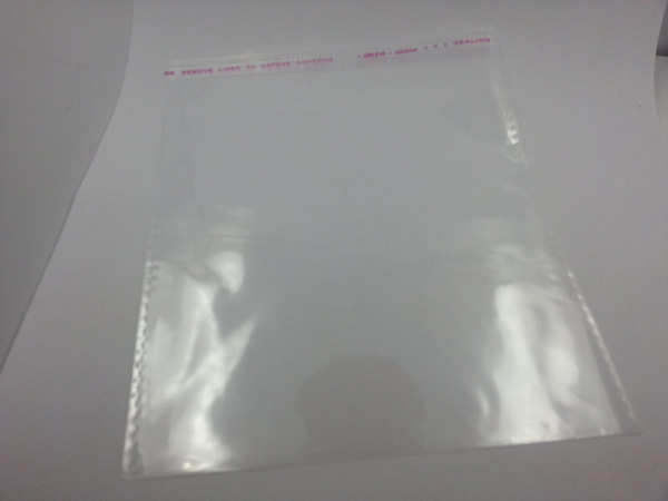 PP nylon bag