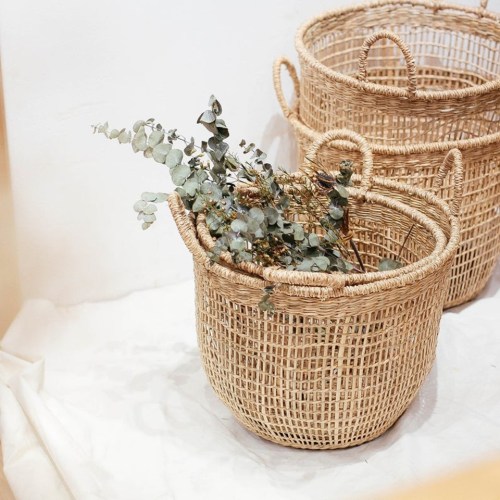 Plant basket