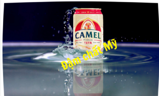 Premium Camel Beer