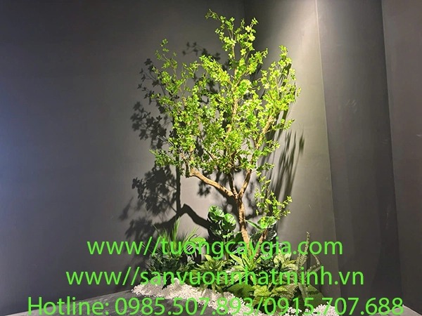 Growing Japanese pieris in pots