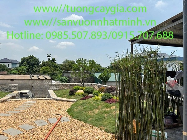 Landscape and garden construction