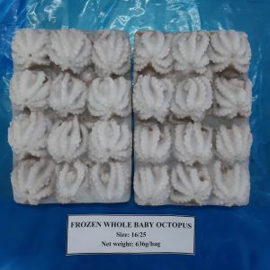 Frozen baby octopus whole cleaned