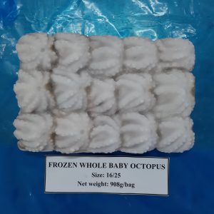 Frozen octopus whole cleaned