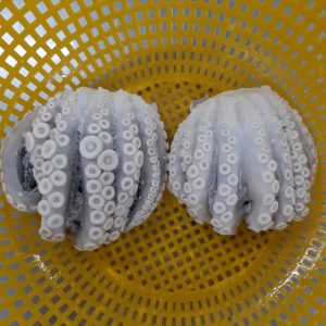 Frozen poulp squid cut - IQF