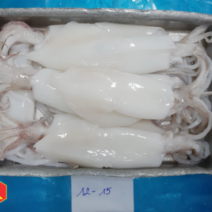 Frozen squid whole cleaned