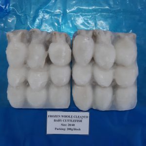 Frozen whole cleaned cuttlefish