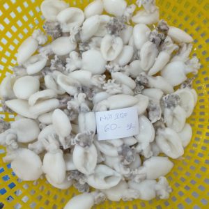 Frozen whole cleaned cuttlefish