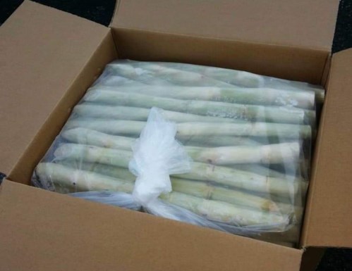 Frozen Sugarcane