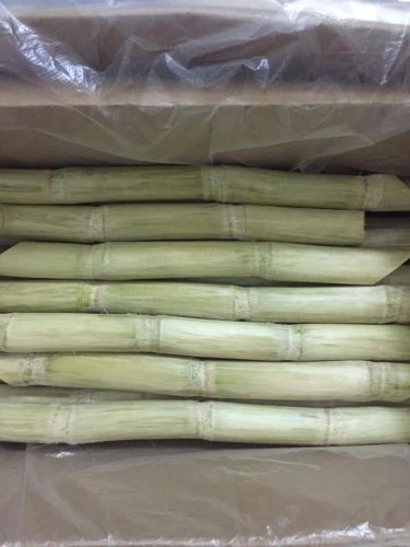 Frozen Sugarcane