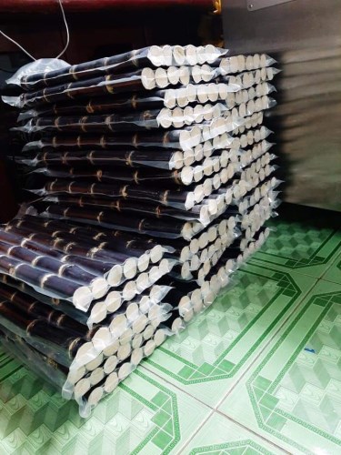 Frozen Sugarcane