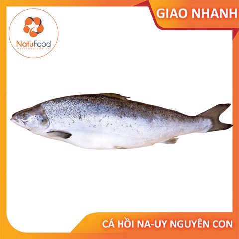 1kg Salmon