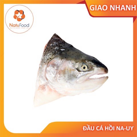 Salmon head