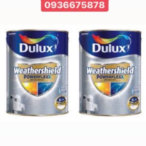 Dulux coating paint