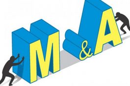 M&A consulting