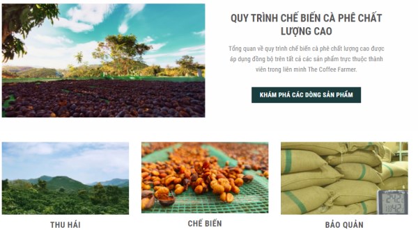 Coffee making process